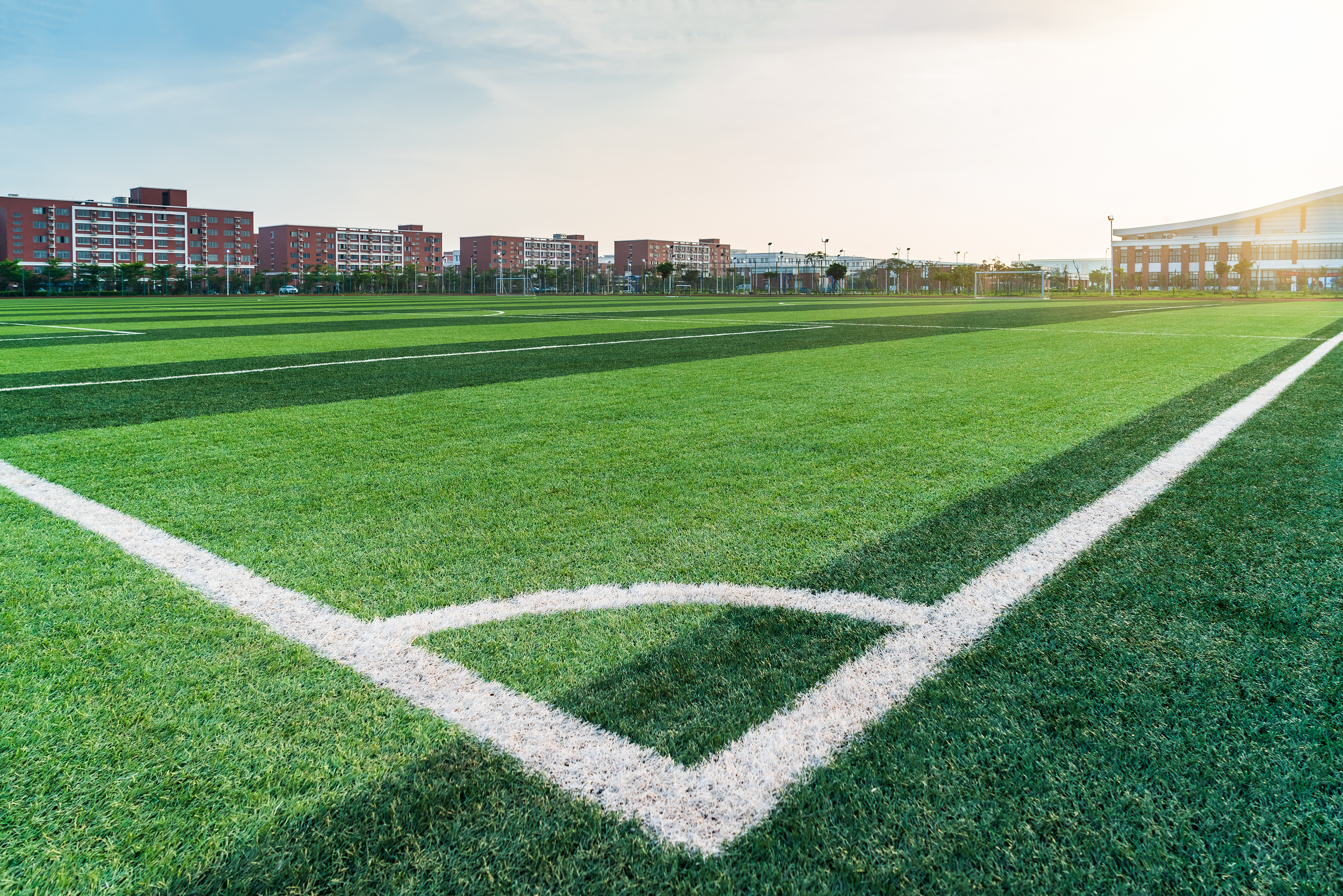 �����ƺ�ă�(y��u)������Щ��