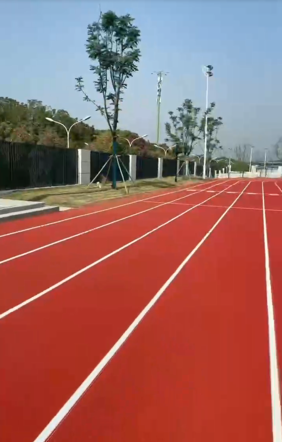 �������36С�W������ܵ�