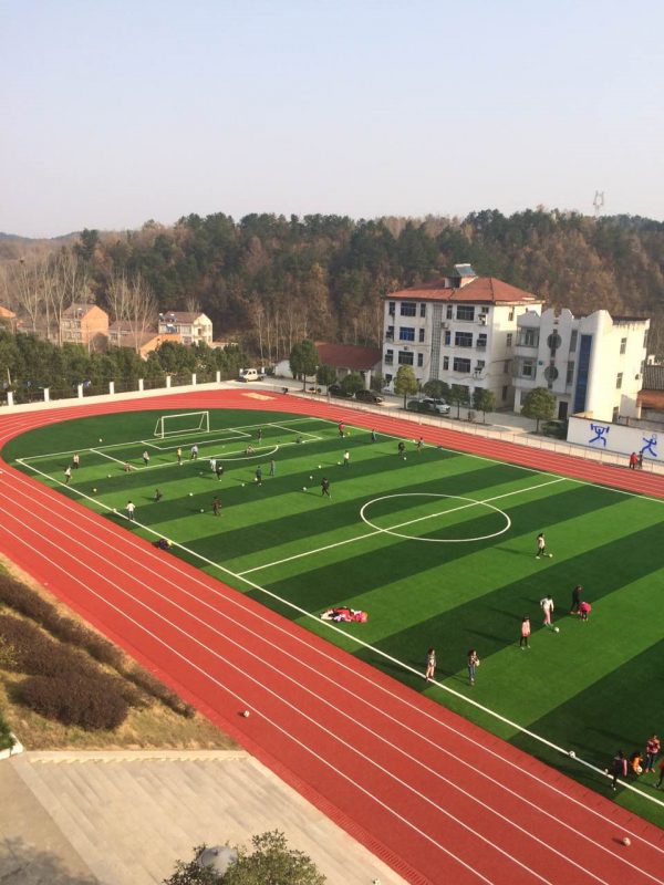 ����ʡ�S���������ЌW